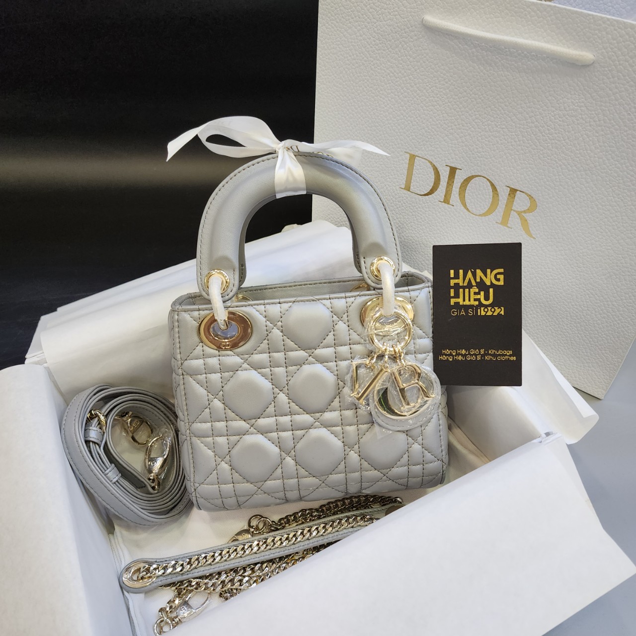 Túi Dior Lady Mini Bag